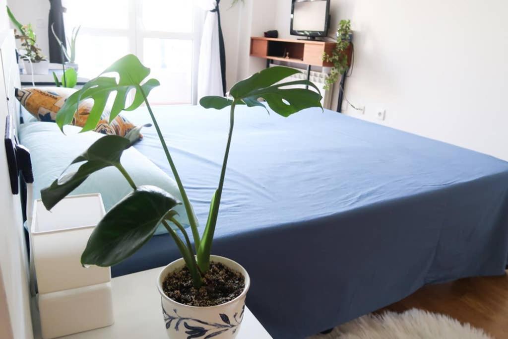 Ferienwohnung Housingleon- Casa Oliva Con Garaje Exterior foto